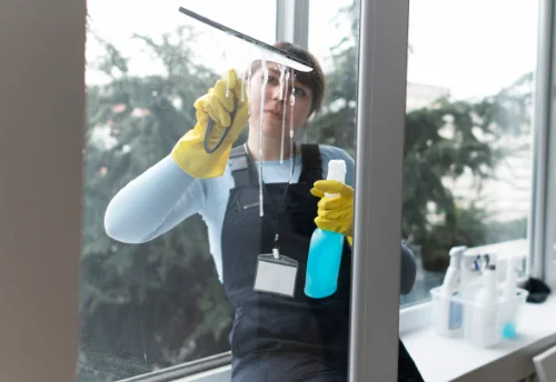 Nettoyage de vitres intérieures et extérieures à Offekerque